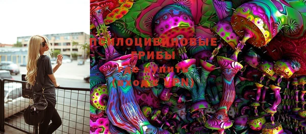гидра Алексеевка