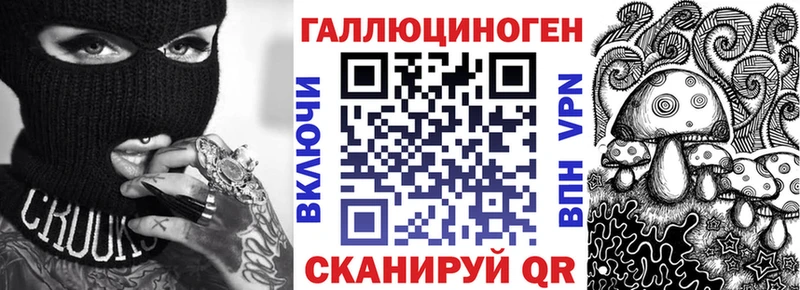 как найти   Коркино  Галлюциногенные грибы Psilocybine cubensis 